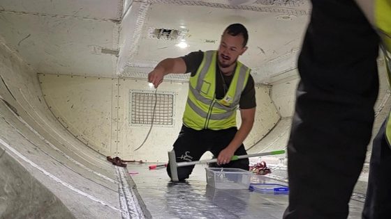 Snake on a plane delays a flight in Australia