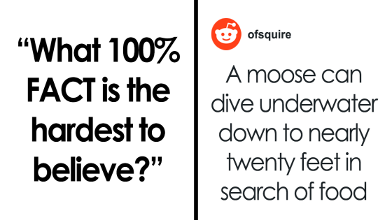 "Scary, Creepy, Paranormal, Mysterious": 68 Questions And Stories That Are Worse Than Horror Movies