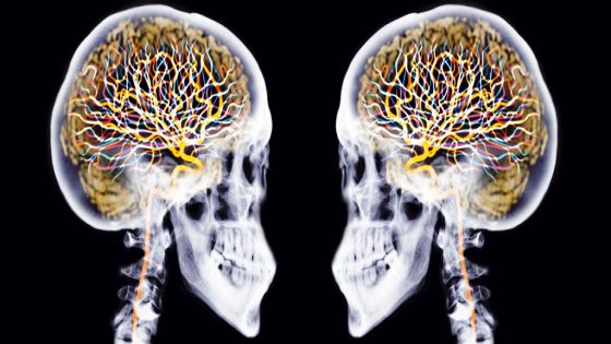 Your Brain's Youthfulness (or Lack of It) Could Predict How Long You Live : ScienceAlert