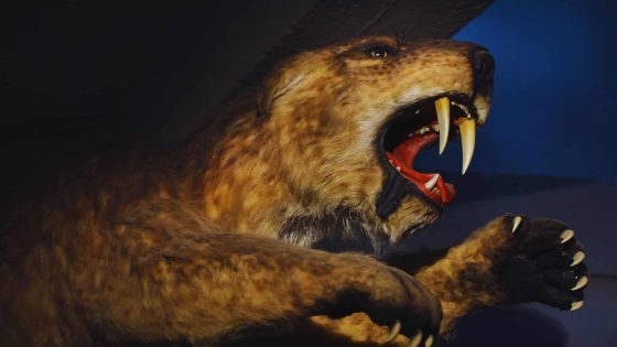 Meet The Gigantic Saber Toothed Cat That Tracked Bison Sized Prey 9 Million Years Ago
