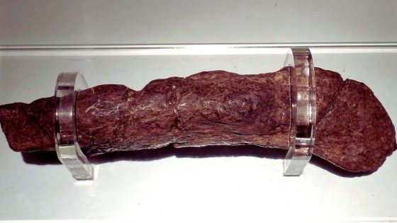 The Lloyds Bank Turd This Ancient Stool Is The Largest Intact Piece Of Fossilised Human Faeces Ever Found.