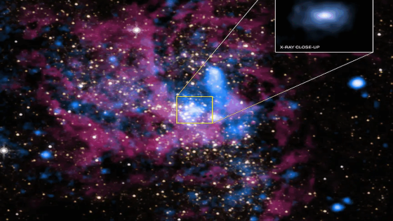 Image of a dense cluster of blue speckles embedded in a more diffuse pink glow on a black background. These are the dust (pink) and stars (blue) at the center of our galaxy.