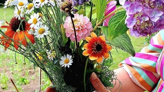 Van wildpluk-lunches tot voetmassages: deze pluktuinen bieden meer dan veldbloemen