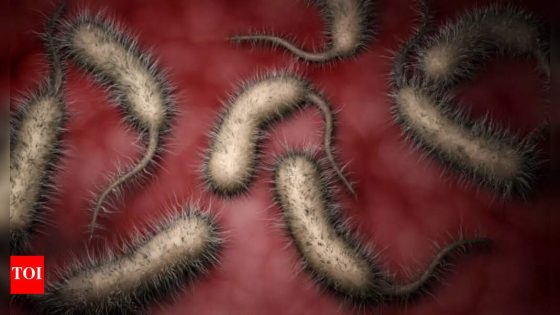 Vibrio Vulnificus Symptoms: Rare flesh-eating bacteria on the rise in the US: Causes, symptoms, who is at risk, prevention and more |