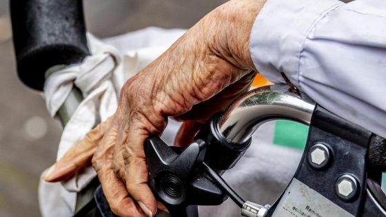Levensverwachting in Vlaanderen bij de geboorte was 84,1 jaar in 2024: in deze provincies worden mensen het oudst
