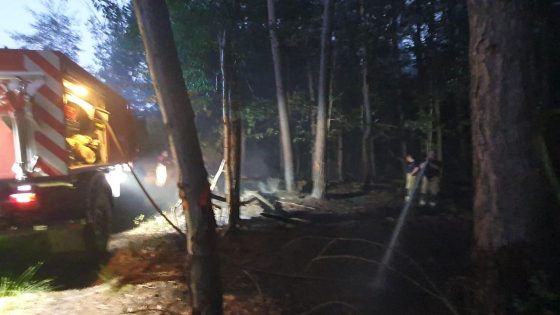 Natuurbrand in Opglabbeek flakkert op: brandstichting niet uitgesloten