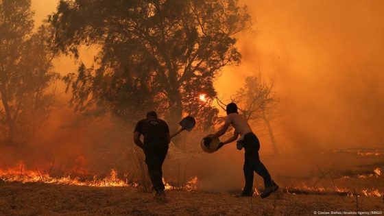 Wildfires continue to burn with danger mounting – DW – 07/27/2025