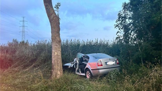 Jonge vrouw zwaargewond na botsing tegen boom in…