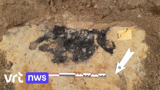 250 skeletten, knekelkuilen en Romeins graf opgegraven in park in Gent 