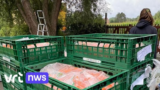 360 kilo wortelen op overschot: Chiro uit Perk bestelt per
ongeluk 12 bakken wortels te veel