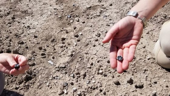 Two types of ancient human ancestors coexisted more than 2 million years ago, fossils show