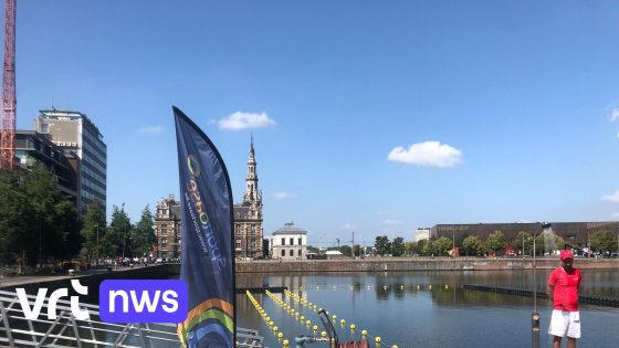 't ZwemDok aan Bonapartedok in Antwerpen tijdelijk dicht door drijflaag: mogelijk blauwalgen