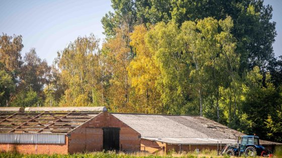 De herfst lijkt nu al in het land, en de oorzaak is niet hoopgevend - Nieuwsblad
