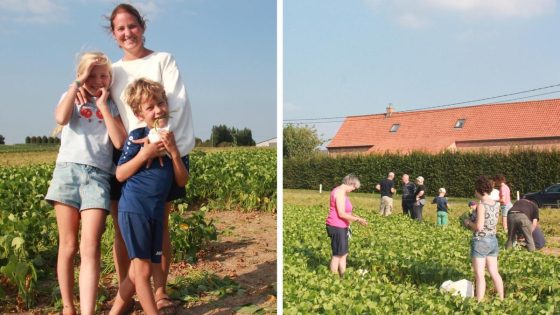 Boontjeskwekers delen oogst gratis uit na grote brand: “Zonde om al dat moois verloren te laten gaan” - Nieuwsblad