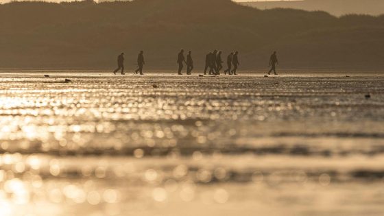 Kinderen meegesleurd door stroming in Noordzee: twee Belgische kinderen gered, zoekactie naar derde kind gestaakt