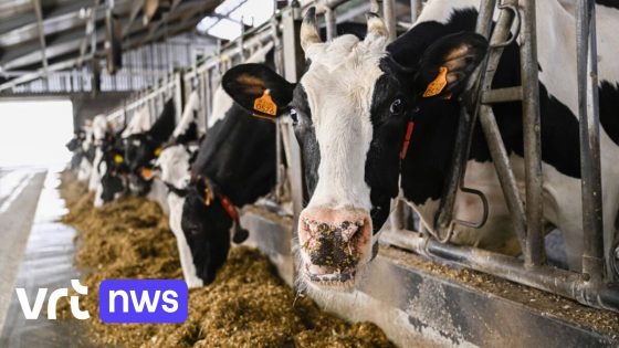 Lauwe reacties op nieuwe rode lijst met stikstof-piekbelasters, N-VA vraagt inzicht in berekeningsmethode