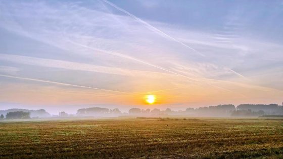 Eerste écht warme dag op komst: volop zon vandaag, en het kan 30 graden worden - Nieuwsblad