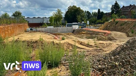 Verbindingsweg Brusselse Heizel wordt wellicht openbare weg