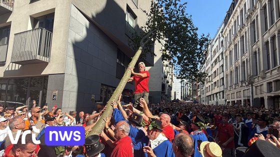 Brussel en Leuven planten Meyboom voor 17 uur, traditie en rivaliteit blijven leven - VRT