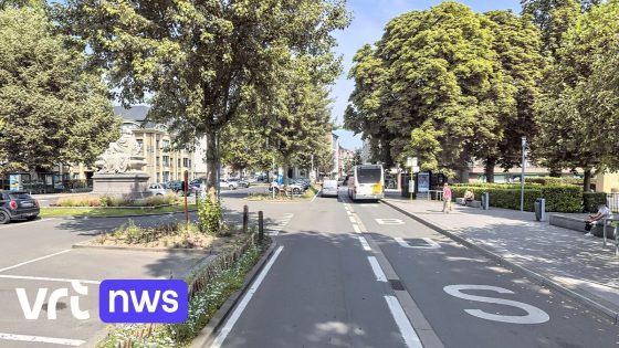 Buschauffeur De Lijn aangevallen door automobilist in Oudenaarde: "Ongecontroleerde agressie"
