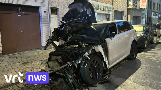 Auto in brand gestoken en gedeeltelijk uitgebrand in Antwerpen