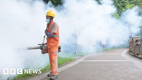 Chikungunya virus: China reports 7,000 cases