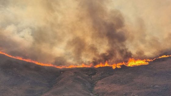 Chios wildfire: Evacuations underway for people trapped on beaches