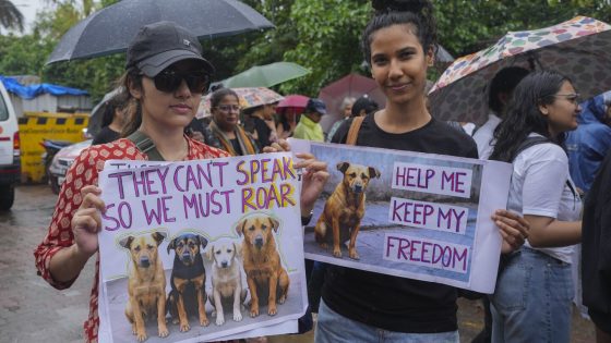 Court orders stray dogs in New Delhi released, easing its order to move them all to shelters