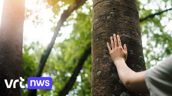 Protest tegen bomenkap in Antwerpen krijgt steun van experts: "Onze liefde voor bomen zit diepgeworteld"