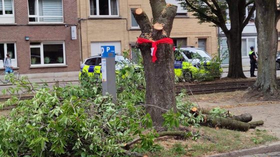 Eerste bomen van Boekenberglei gerooid onder politiebewaking, actiecomité wil via rechter de kap laten stilleggen