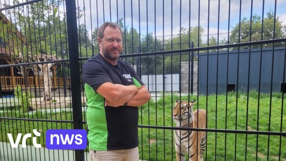Voormalig hoofddierenarts van Pairi Daiza Tim Bouts gaat aan de slag in Pakawi Park in Olmen: "Ik ga vooral coachen"