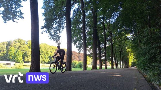"Te gek voor woorden": frustratie over grindlaag op fietssnelweg door Park van Tervuren