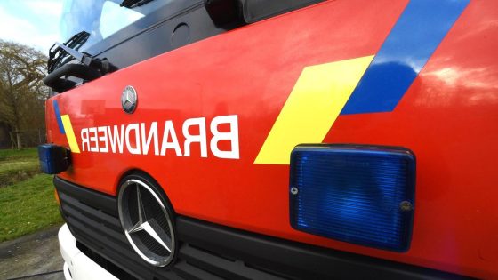 Onderzoek naar heidebrand op de Teut in Zonhoven: “Vuur werd waarschijnlijk aangestoken”