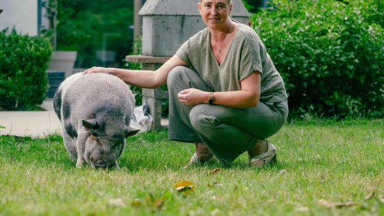 Heidi woont samen met man, vier kinderen... en een varken: “Odie begint luid te krijsen als hij niet naar binnen mag”