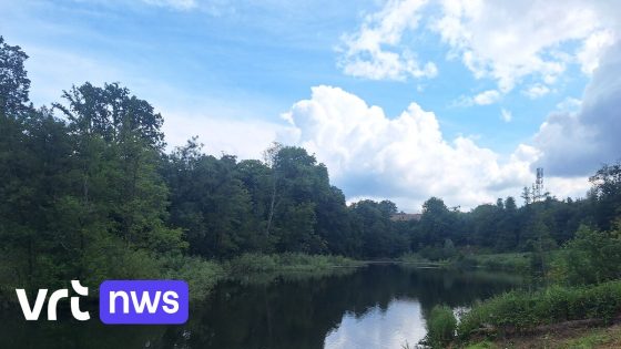 Hoeilaart
wil vijver in Zoniënwoud omvormen tot zwemvijver: "Grote vraag
van inwoners"