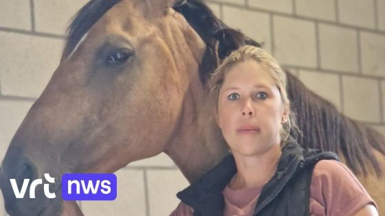 Paard schrikt van vuurpijlen en raakt gewond in Lubbeek: "In de zomer verwacht je geen vuurwerk"