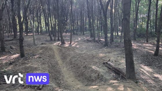 Illegaal fietsparcours ontdekt in Lintbos in Grimbergen: "Schade in bos"