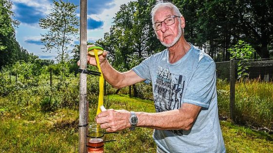 “Iedereen kan helpen”: Limburgse imkers vragen burgers mee te speuren naar nesten Aziatische hoornaar - HBVL