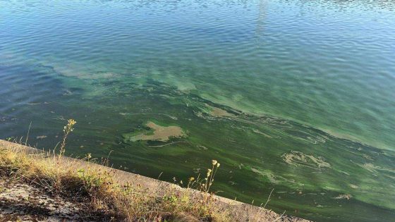 Vrachtschip lekt 10.000 liter gasolie in Albertkanaal: gevaar voor drinkwater zo goed als geweken