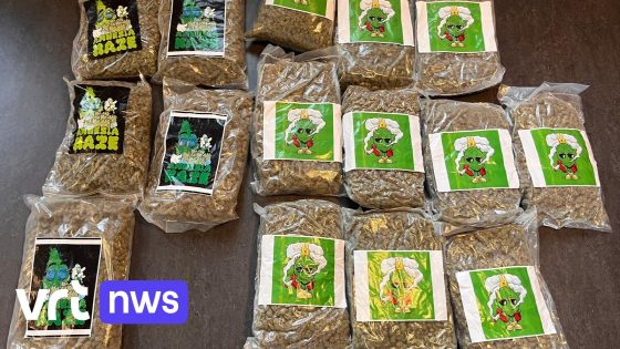 15 kilogram cannabis ontdekt in garagebox in Bonheiden   