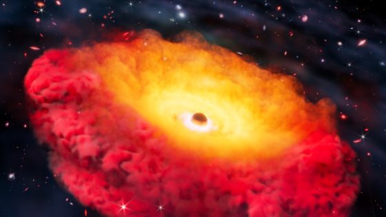 A black hole 300 million times bigger than the sun may be a portal to universe's first days, scientists say