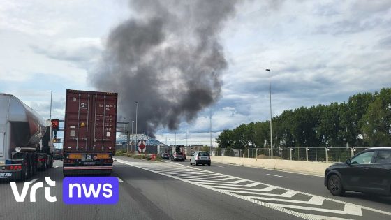Uitslaande brand in magazijn met bouwmaterialen in Merksem: rookpluim van ver zichtbaar
