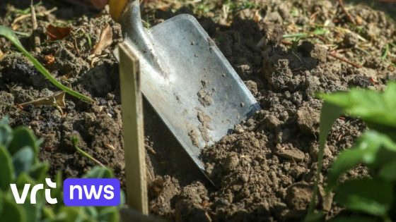 Grootschalig onderzoek naar pesticiden in bodem in Sint-Truiden, Hoogstraten en Roeselare