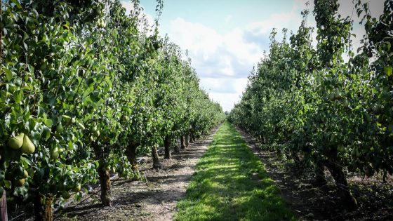 Grootschalig onderzoek naar pesticiden in bodem in Sint-Truiden
