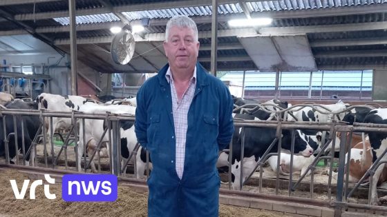 Bedrijf van Mathieu uit Tessenderlo een van landbouwbedrijven met te hoge stikstofuitstoot: "We zien wel wat er komt"