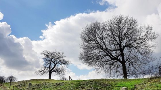 Nieuwe campagne tegen huidkanker: “Het is niet omdat het bewolkt is dat je niet moet smeren”