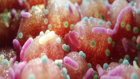 Parkinson's Link to Gut Bacteria Hints at an Unexpected, Simple Treatment : ScienceAlert