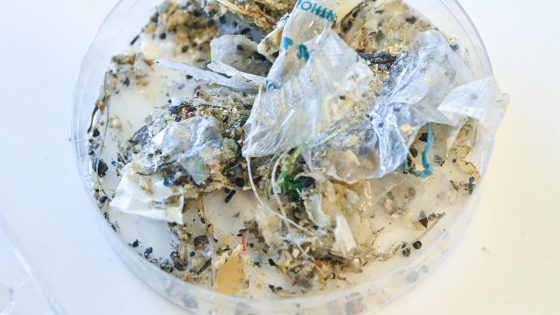 Plastic causing "disease and death from infancy to old age" that costs $1.5 trillion a year, report warns