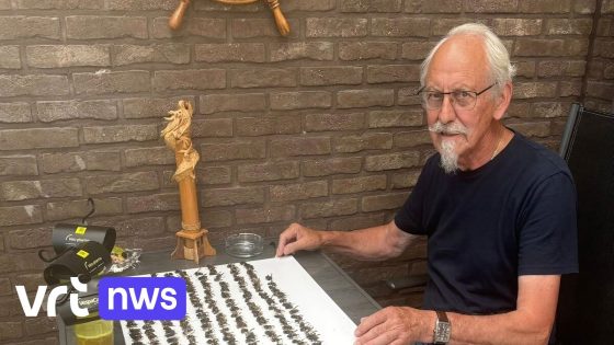 Raphaël
ving al 238 Aziatische hoornaars in Sint-Pieters-Leeuw: "Suiker, witte wijn en bier"