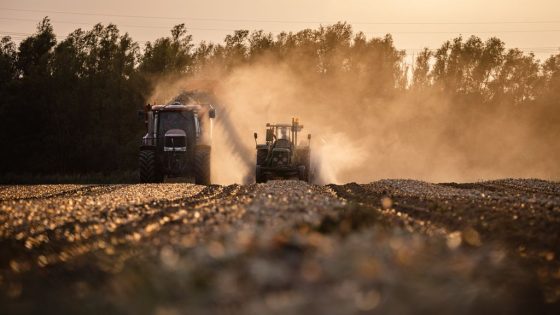 Opnieuw zeer warme zomer, vooral door gebrek aan koele dagen